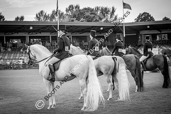 The AGRIA Royal International Horse Show