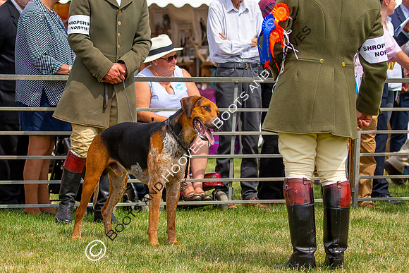 Festival of Hunting