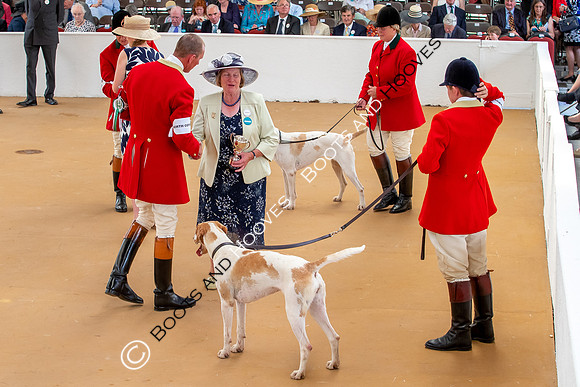 Festival of Hunting