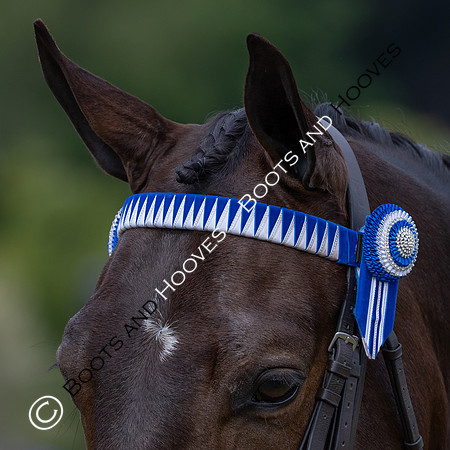 Royal Windsor Horse Show
