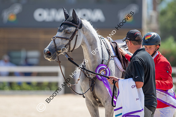 FEI Junior European Championship Young Riders, Juniors & Childre