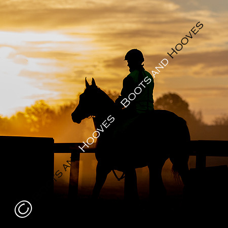 Newmarket