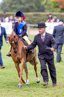 The Agria Royal International Horse Show
