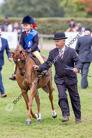 The Agria Royal International Horse Show