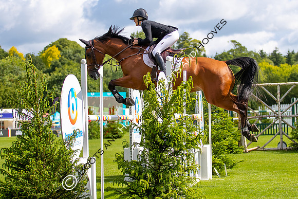 Showjumping