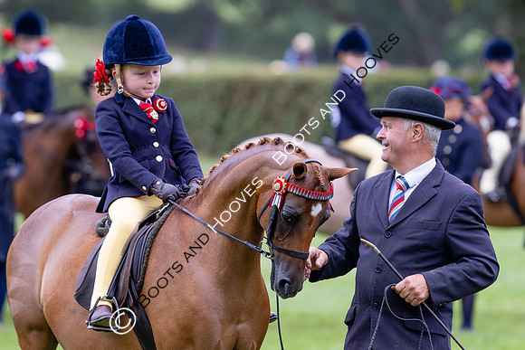 The Agria Royal International Horse Show