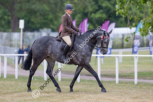 Royal Windsor Horse Show