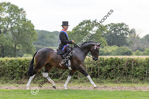 The Royal International Horse Show