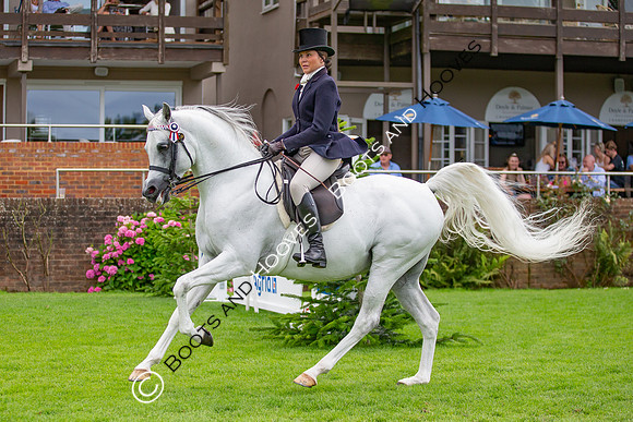 The AGRIA Royal International Horse Show