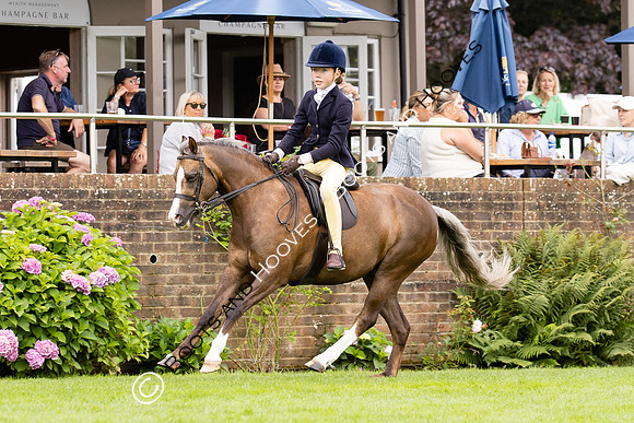 The Agria Royal International Horse Show