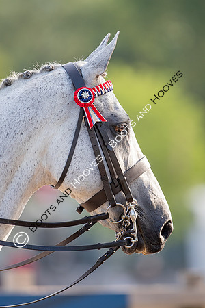 The Prenetics Royal International Horse Show