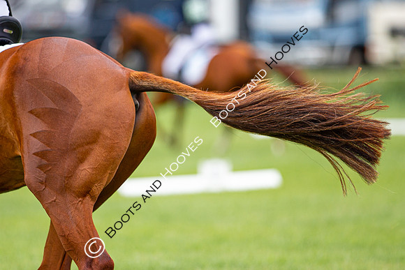 Horse Trials