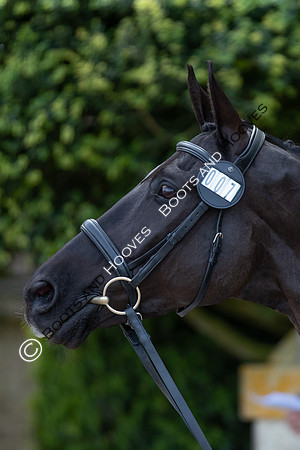 Badminton Horse Trials