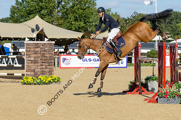 The Al Shira'aa British Young Horse Championships