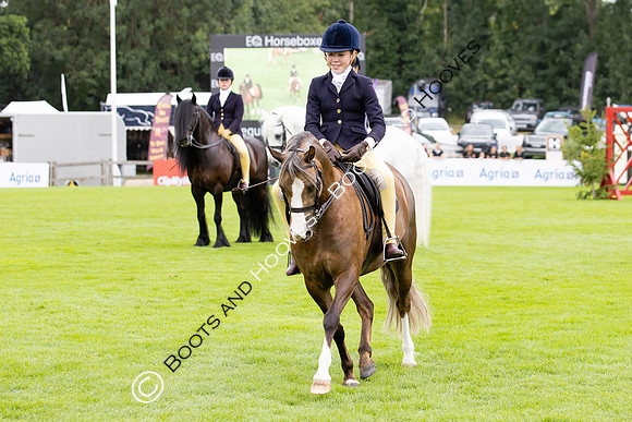 The Agria Royal International Horse Show