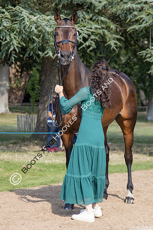 Blenheim Palace International Horse Trials