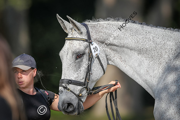 Blenheim Palace International Horse Trials