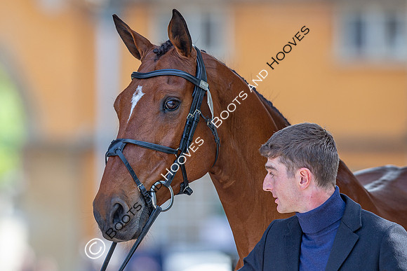Badminton Horse Trials