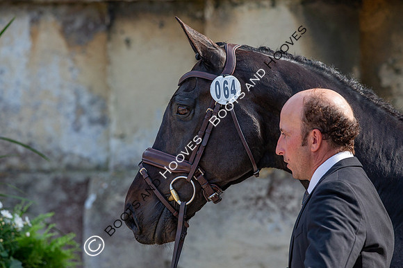 Badminton Horse Trials