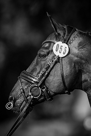 Blenheim Palace International Horse Trials