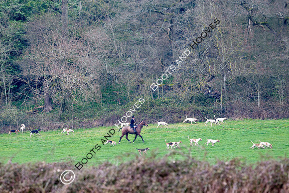 The Ledbury Hunt