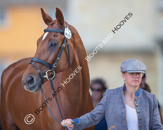Badminton Horse Trials
