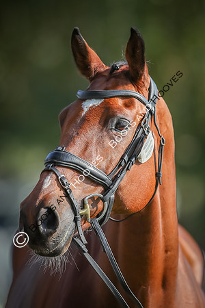 Blenheim Palace International Horse Trials