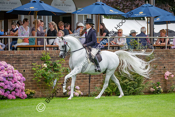 The AGRIA Royal International Horse Show