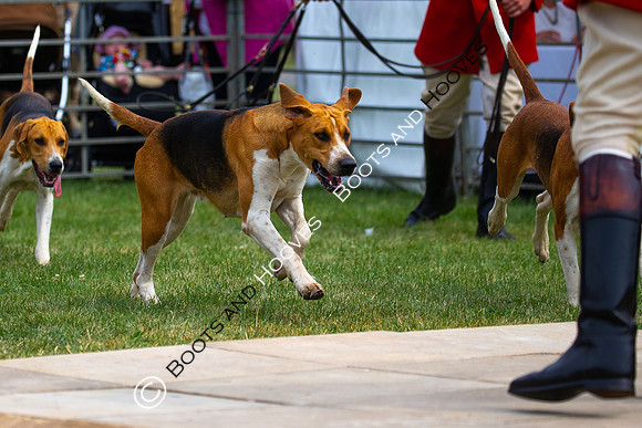 Festival of Hunting