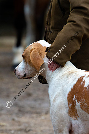The Ledbury Hunt
