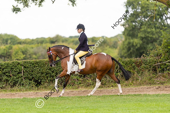 The Royal International Horse Show