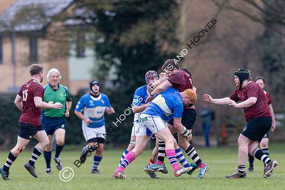 BSRFC v Royston