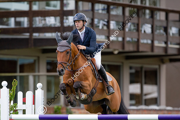 Showjumping