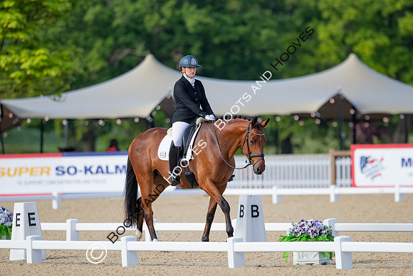 I.C.E Horseboxes All England Dressage Festival