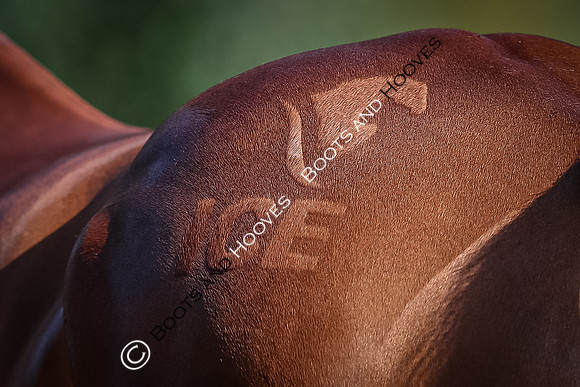 Blenheim Palace International Horse Trials