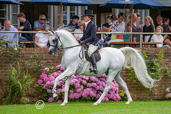 The AGRIA Royal International Horse Show