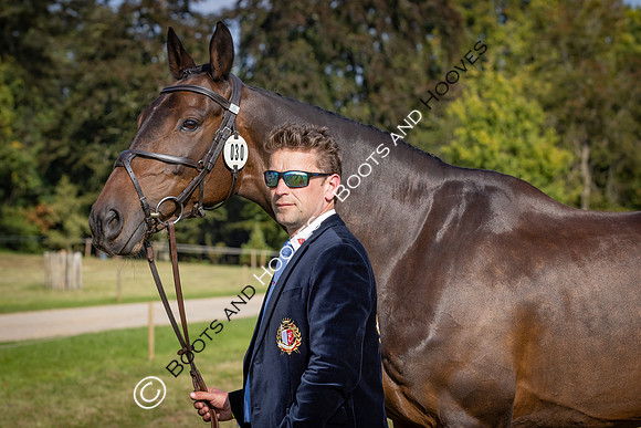 Blenheim Palace International Horse Trials
