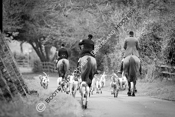 The Ledbury Hunt