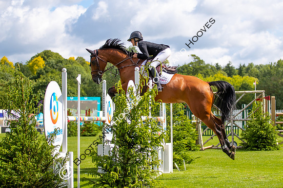 Showjumping