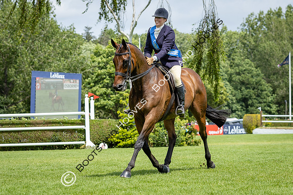 The Al Shira'aa Hickstead Derby Meeting