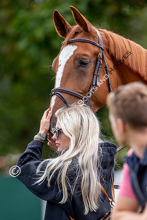 Science Supplements All England Jumping Championships