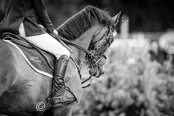 The Al Shira'aa Hickstead Derby Meeting