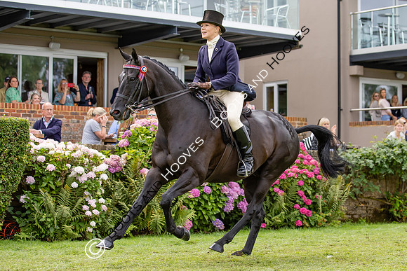 The Agria Royal International Horse Show