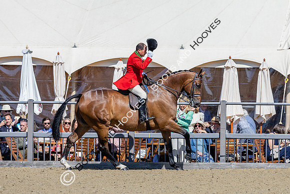 Royal Windsor Horse Show