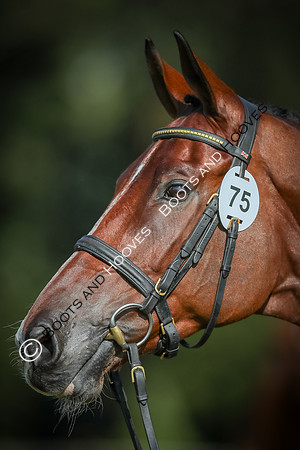 Blenheim Palace International Horse Trials