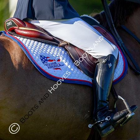 Science Supplements All England Jumping Championships