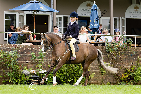The Agria Royal International Horse Show
