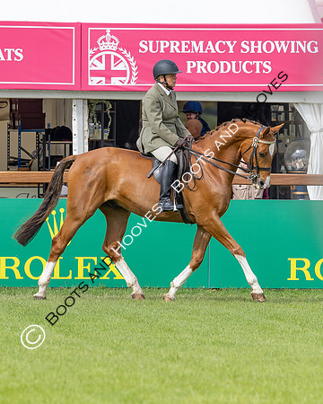 Royal Windsor Horse Show