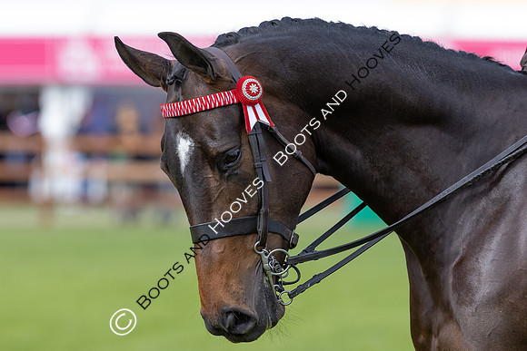Royal Windsor Horse Show