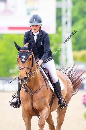 Royal Windsor Horse Show